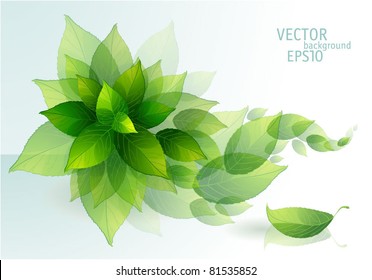 Fresh green leaves vector background.