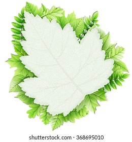 Fresh green leaves vector border. EPS 10 vector file included
