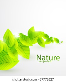 Fresh green leaves vector nature background
