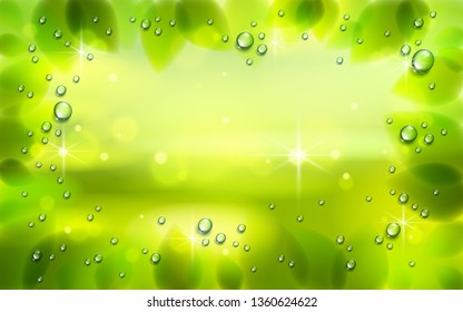 Fresh green leaves and water rain drops or condensate vector realistic transparent illustration, summer or spring nature background with copy space for text.