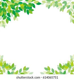 Fresh green leaves,vector Illustration