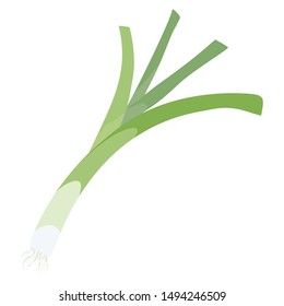 Fresh green Leek isolated on white background. Vegetables background. Vector design element. Vegan, vegetarian diet. Agriculture.