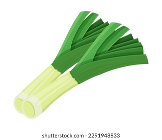 Fresh green leek or pearl onion, vegetable, food. Botanical illustration. Vector