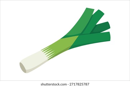 fresh green leek vegetable isolated vector illustration on white background