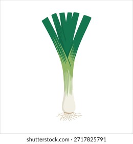 fresh green leek vegetable isolated vector illustration on white background