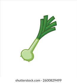 Fresh green leeks editable vector illustration, high quality vegetable illustration suitable for food packaging, healthy menu food concept