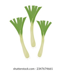 Fresh Green leeks Vector Illustration Logo