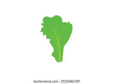 Diseño fresco del logotipo de la lechuga verde, ensalada verde de las hojas, concepto del diseño del Vector