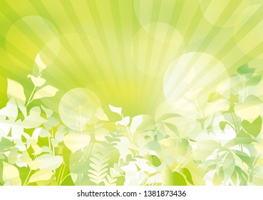 Fresh green in the light