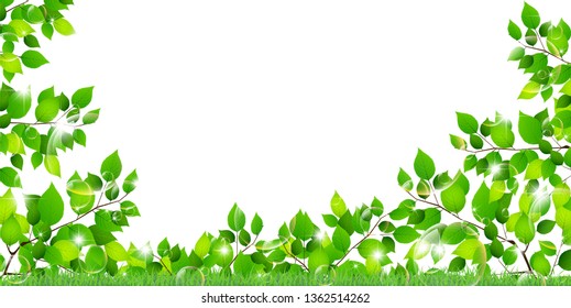 Fresh green light green background