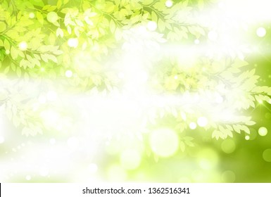 Fresh green light green background