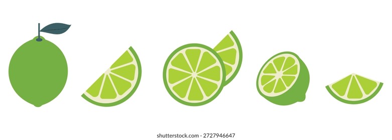 Conjunto de vetores de frutas de limão verde fresco - Limes inteiros, fatias, cunhas e metades com folhas isoladas no fundo branco	