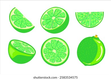 Fresh green lime set. Whole lemon fruit with leaves, lemons slices and cut lemon. Citrus for lemonade juice, drink or vitamin C healthy food. Cartoon Vector illustration isolated on white background.