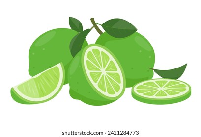 fruta fresca de limes verdes. Lima entera, cortar limas, rodajas y hojas. Frutas orgánicas para jugo de limonada o alimento saludable con vitamina C. Ilustración vectorial aislada en fondo blanco.