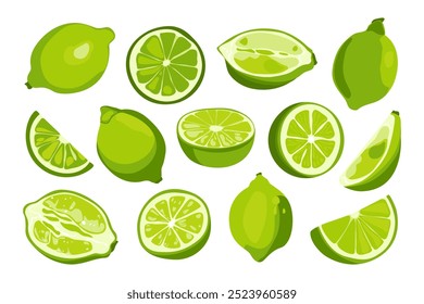 Limas verdes frescas. Citrinos orgânicos naturais, frutos tropicais azedos suco de limonada detox mojito coquetel ingredientes. Conjunto plano isolado por vetor.