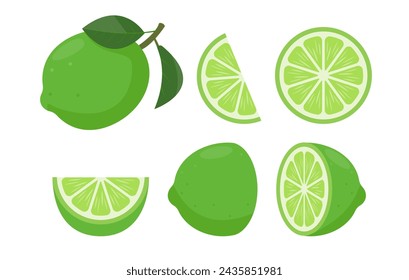 Fresh green limes set. Whole lime with leaves, limes slices and cut lime. Organic fruits for lemonade juice or vitamin C healthy food. Vector illustration isolated on white background.