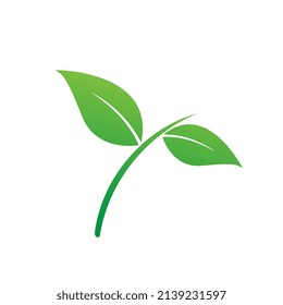 Fresh green Logos of leaf ecology nature isolated element vector icon design
