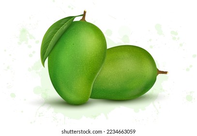 Fresh Green Mangoes Vector illustration isolated on white background 