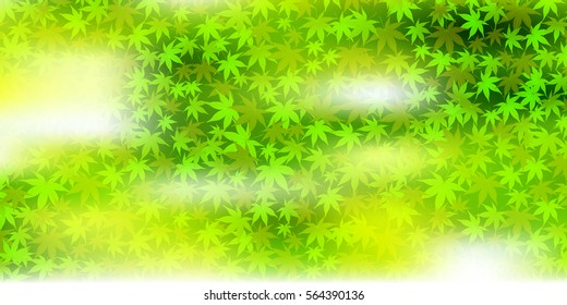 Fresh green maple green background