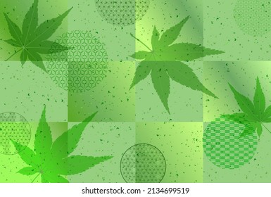 Fresh green maple Japanese pattern background 