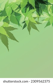 fresh green maple leaf background