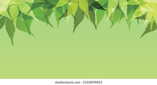 fondo fresco de la hoja de arce verde