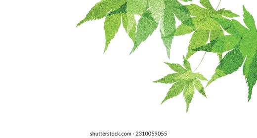 fresh green maple leaf background