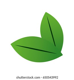 fresh green mint leaves herbal drink icon