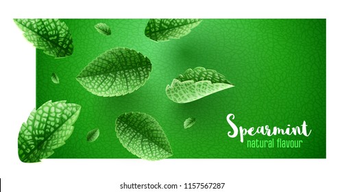 Fresh green mint leaves on banner design with copyspace. Main natural organic ingredient for refreshing drinks like lemonade or mojito. Realistic falling leaves of spearmint. EPS10 vector.