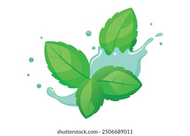 
Fresh green mint leaves splashing with water flat vector illustration on white background.