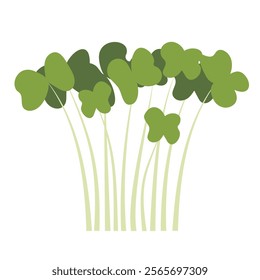 Fresh green mustard microgreens vector 