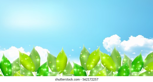 Fresh green natural scenery background