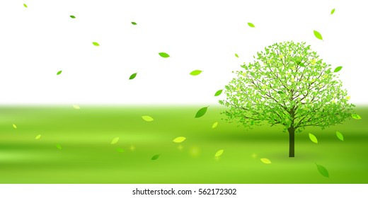 Fresh green natural scenery background