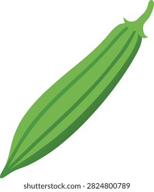 Fresh Green Okra Vegetable Pod Vector Illustration Icon
