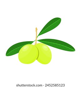 Fresh Green Olive Fruit in Vector Design