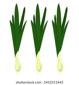 Las cebollas verdes frescas con una textura crujiente muestran sus colores brillantes, un grupo. Se puede utilizar en blogs de cocina, libros de recetas, haciendo hincapié en la frescura de las cebollas verdes en varios platos. Vector