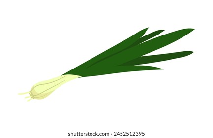 Fresh green onions with onions, showing off their bright colors crispy texture. It can be used in cooking blogs, recipe books or marketing materials, the freshness of green onions in various dishes