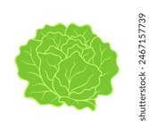 Fresh green organic lettuce, healthy meal option icon isolated. Vector illustration