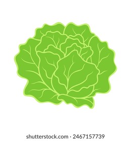 Fresh green organic lettuce, healthy meal option icon isolated. Vector illustration