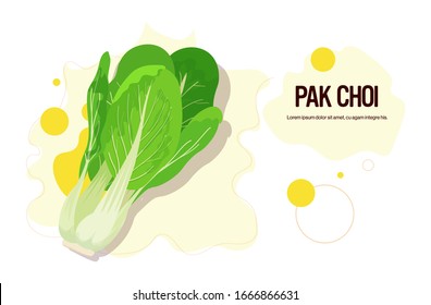 fresh green pak choi sticker tasty vegetable icon healthy food concept horizontal copy space vector illustration