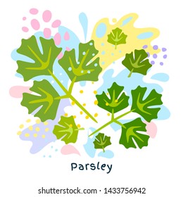 Fresh green parsley leaf vegetable juice splash organic food vegetables condiment spice splatter on abstract coloful splatter splash background vector hand drawn illustrations