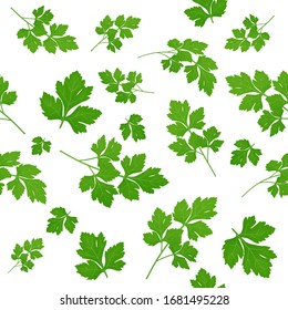 Fresh green parsley leaves on white background. Parsley isolated. Vector illustration. Seamless pattern.