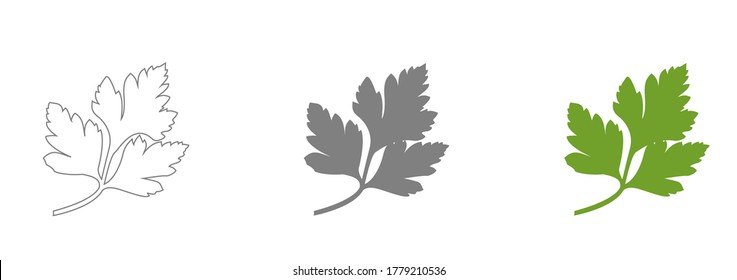 Fresh green parsley leaves on white background. Parsley isolated. Vector illustration