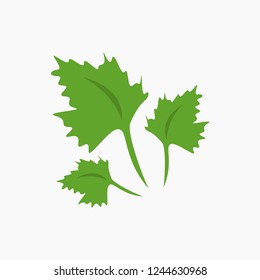 Fresh green parsley on a white background. Vector illustration. Green parsley. EPS 10.
