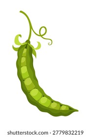 Fresh green pea pods including whole pods open pods with peas for cooking