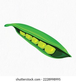 Fresh Green pea vegetable hand drawn vector illustration. Vegetarian salad recipe design. vector illustration in flat style