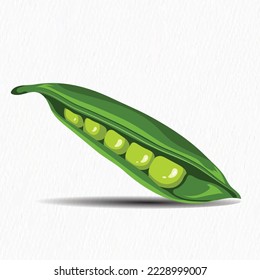 Fresh Green pea vegetable hand drawn vector illustration. Vegetarian salad recipe design. vector illustration in flat style