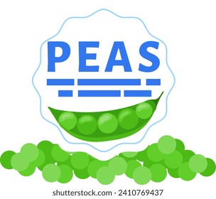 Fresh green peas in a pod with pea grains lying around. Organic legume, healthy food concept. Nutritious vegetarian ingredient vector illustration.
