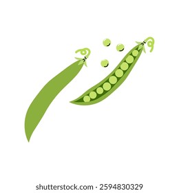 Fresh green peas in pod and scattered peas on a clean white background