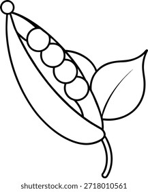 Fresh Green Peas Pod Vector Illustration